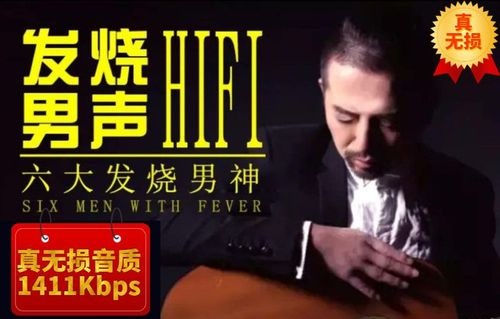 发烧HIFI男声音乐-不改音响提升数倍音质 - 乐分享·资源网-乐分享·资源网